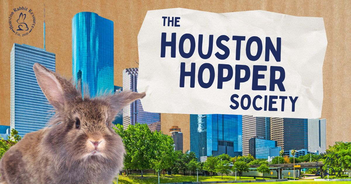 Campaign cover image for Houston Hopper Society