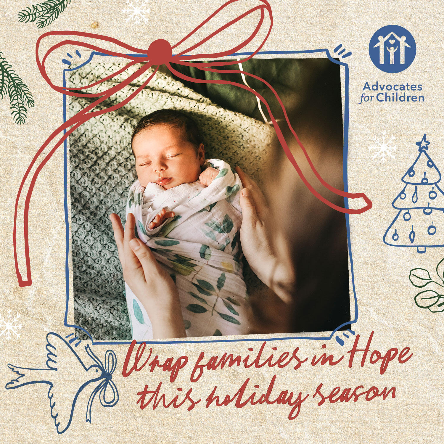 Campaign cover image for Giving Tuesday 2025