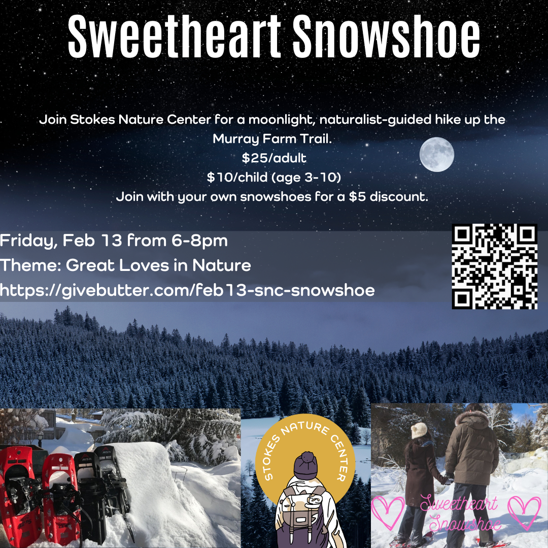 Campaign cover image for Sweetheart Moonlight Snowshoe-Feb 13