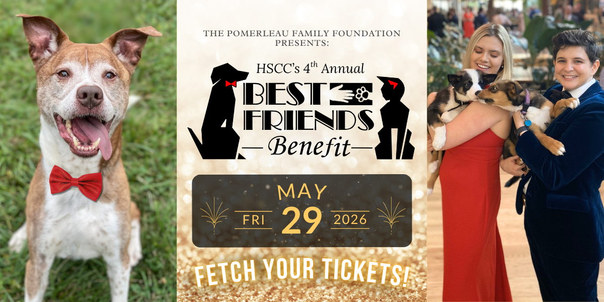 Campaign cover image for Best Friends Benefit