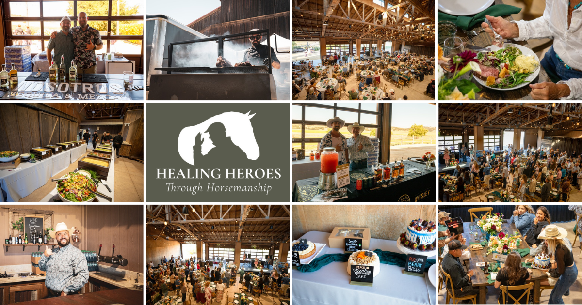 Campaign cover image for Healing Heroes Fourth Annual Gala (2026)