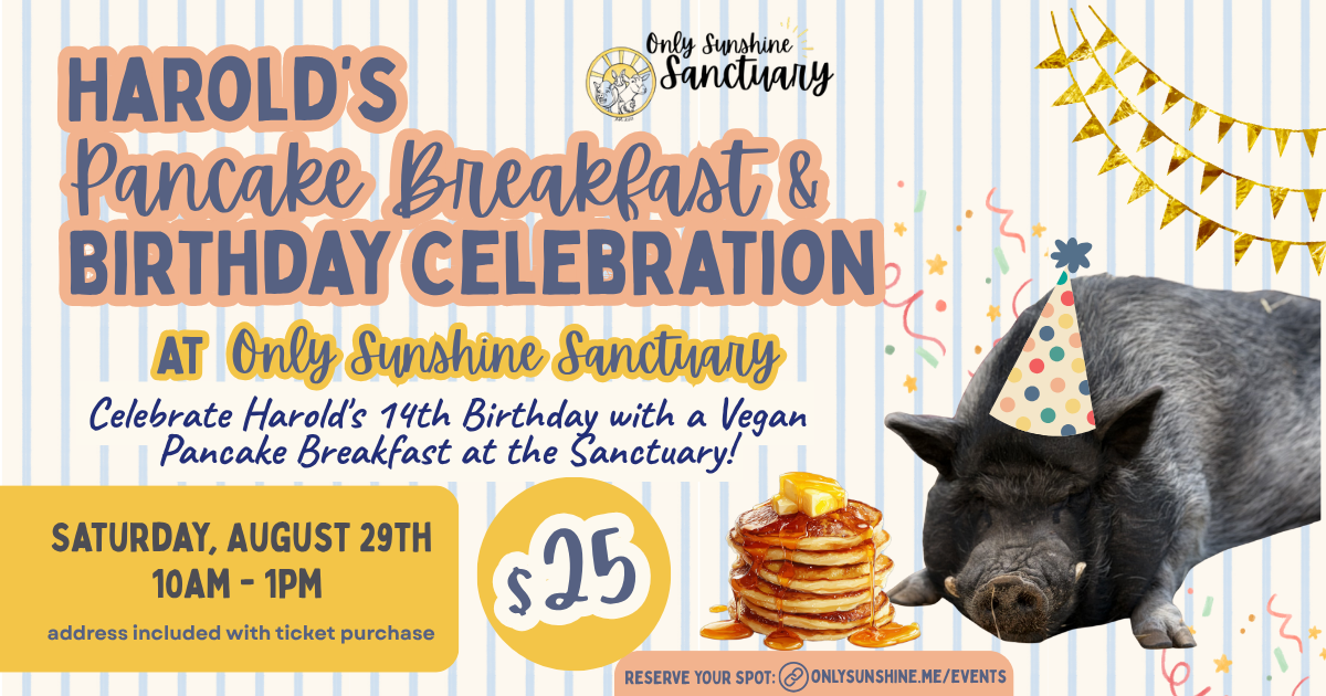 Campaign cover image for Harold's Pancake Breakfast & Birthday Celebration!
