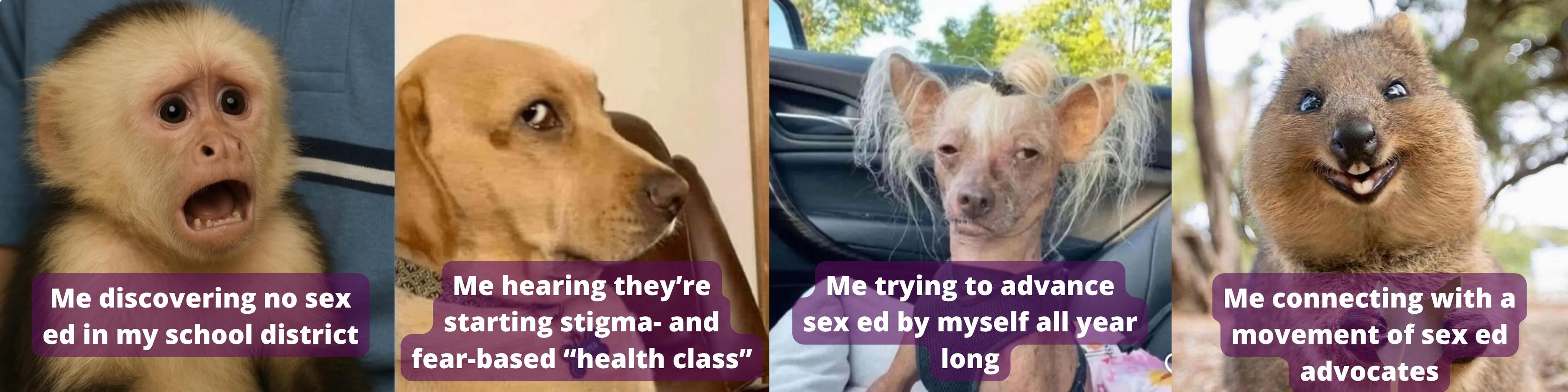 Campaign cover image for Give to support pro-sex-ed organizers and school board candidates