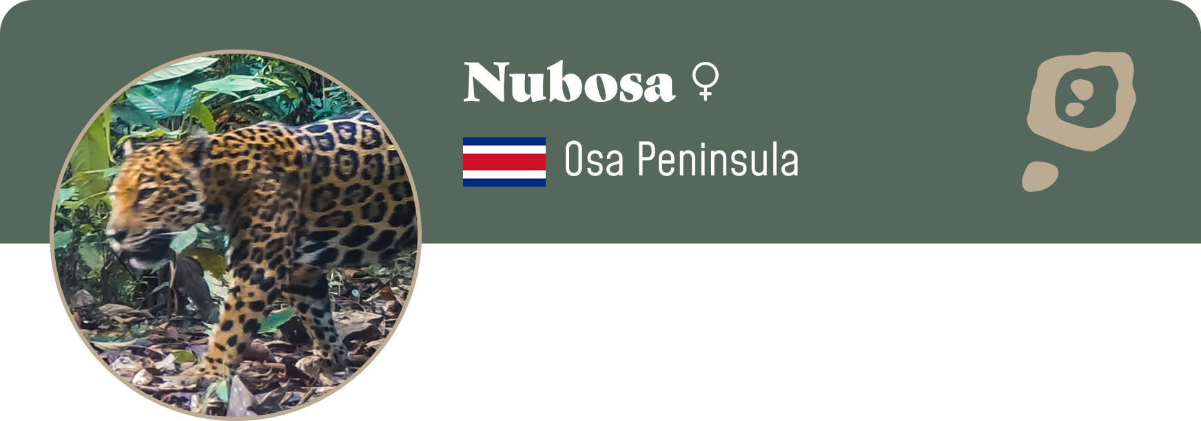 Campaign cover image for Adopt Nubosa