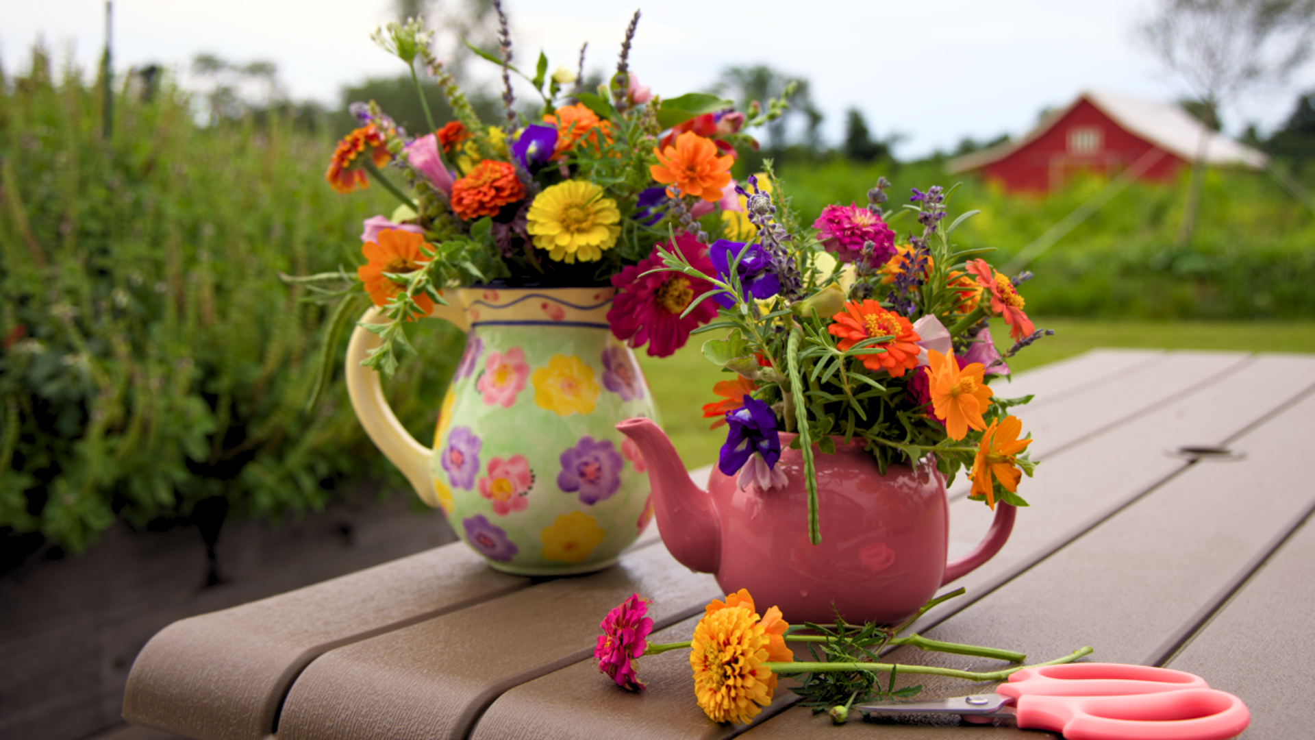 Campaign cover image for Teapots & Petals: A Floral Arranging Workshop