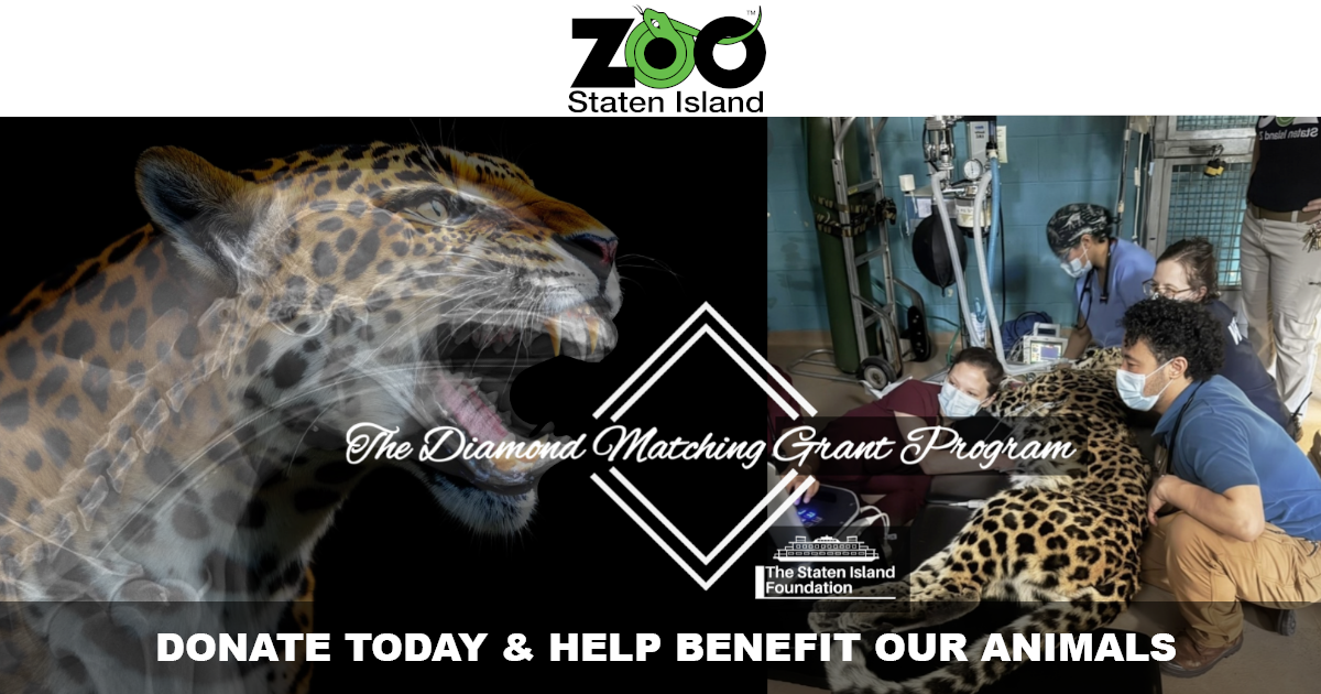 Campaign cover image for The Best Tools for the Best Care