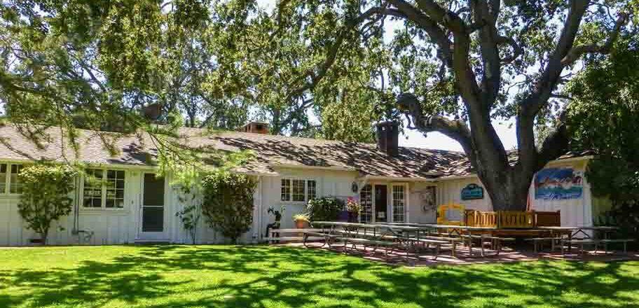 Campaign cover image for Gift Shop - Neal Taylor Nature Center