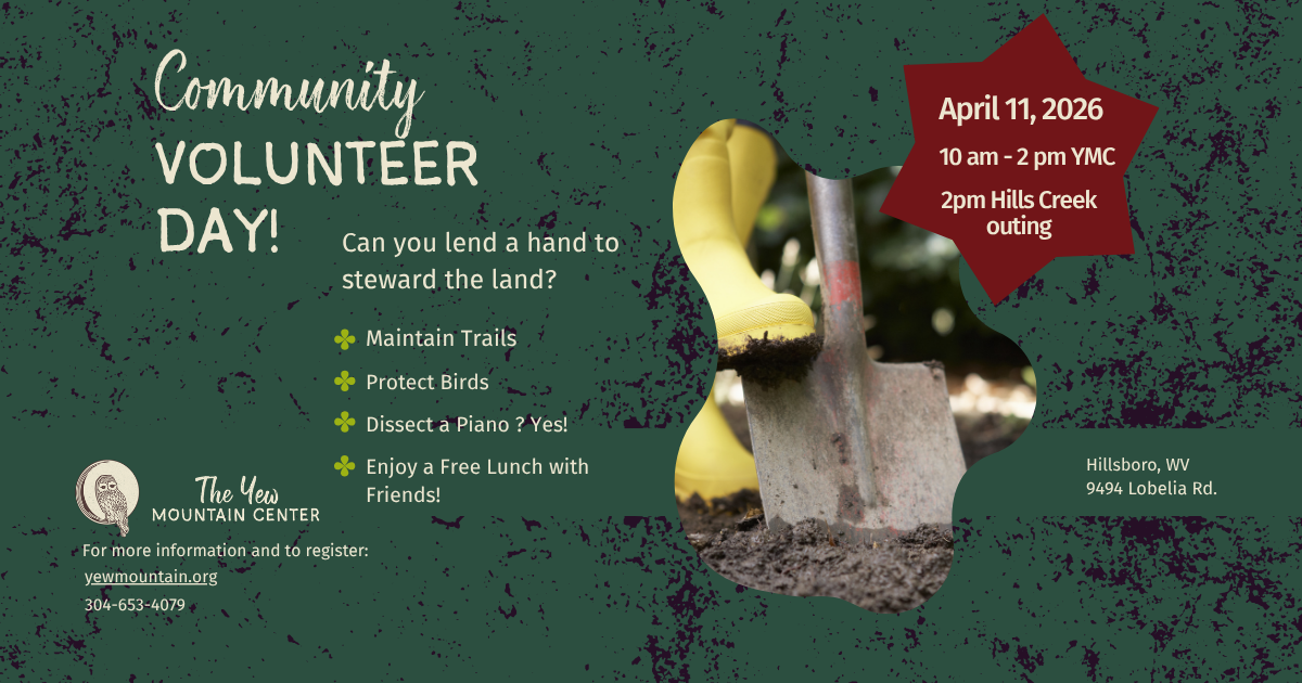 Campaign cover image for Community Volunteer Day