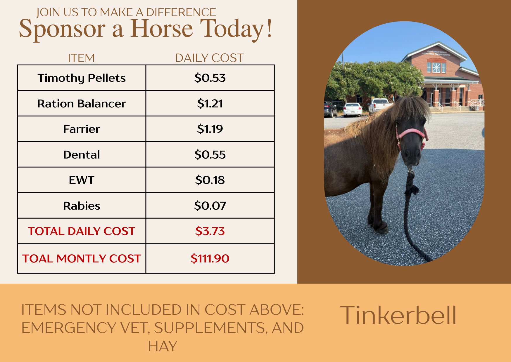 Campaign cover image for Tinkerbell Sponsorship