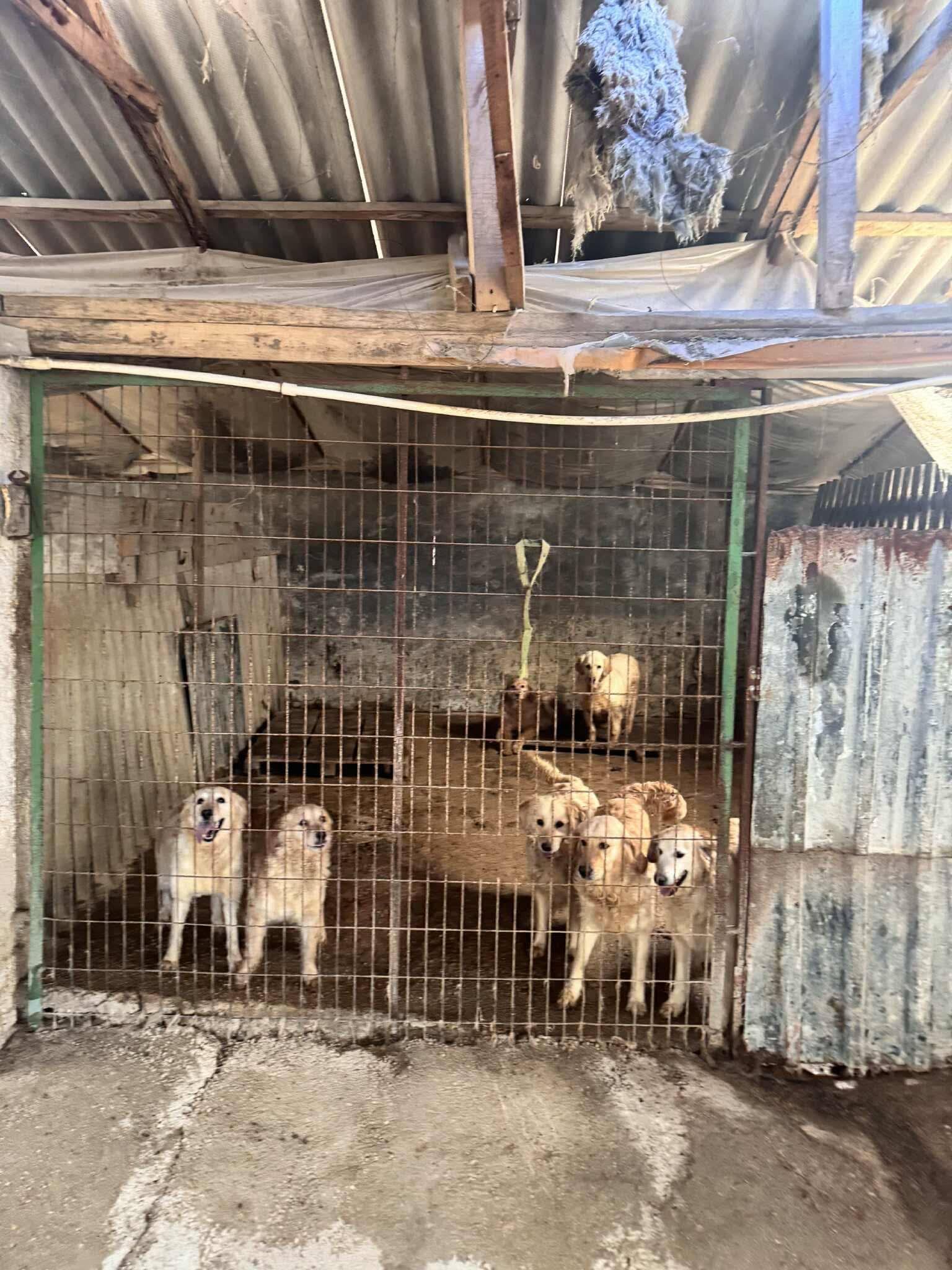 Campaign cover image for Help us make room!