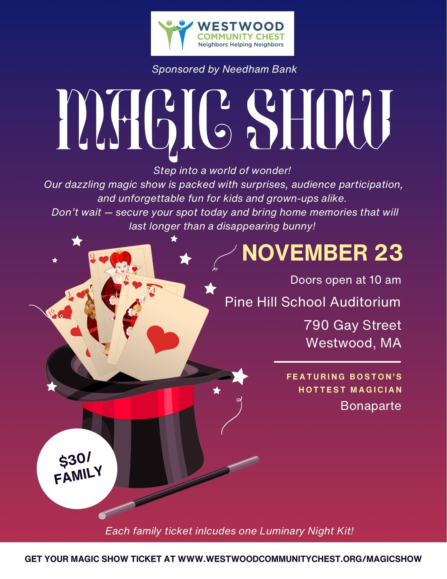 Campaign cover image for Magic Show with Bonaparte