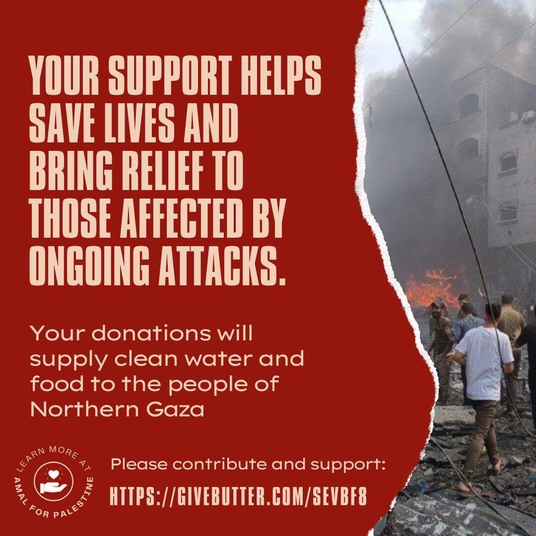Campaign cover image for Urgent Appeal - Help Northern Gaza