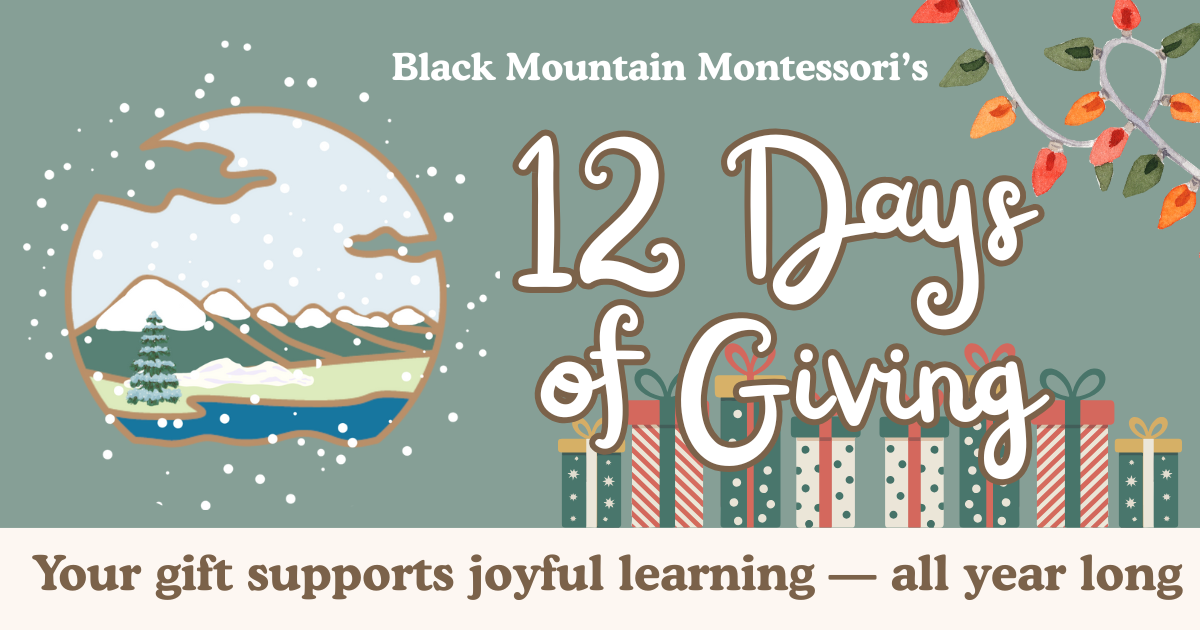 Campaign cover image for BMTM 12 Days of Giving