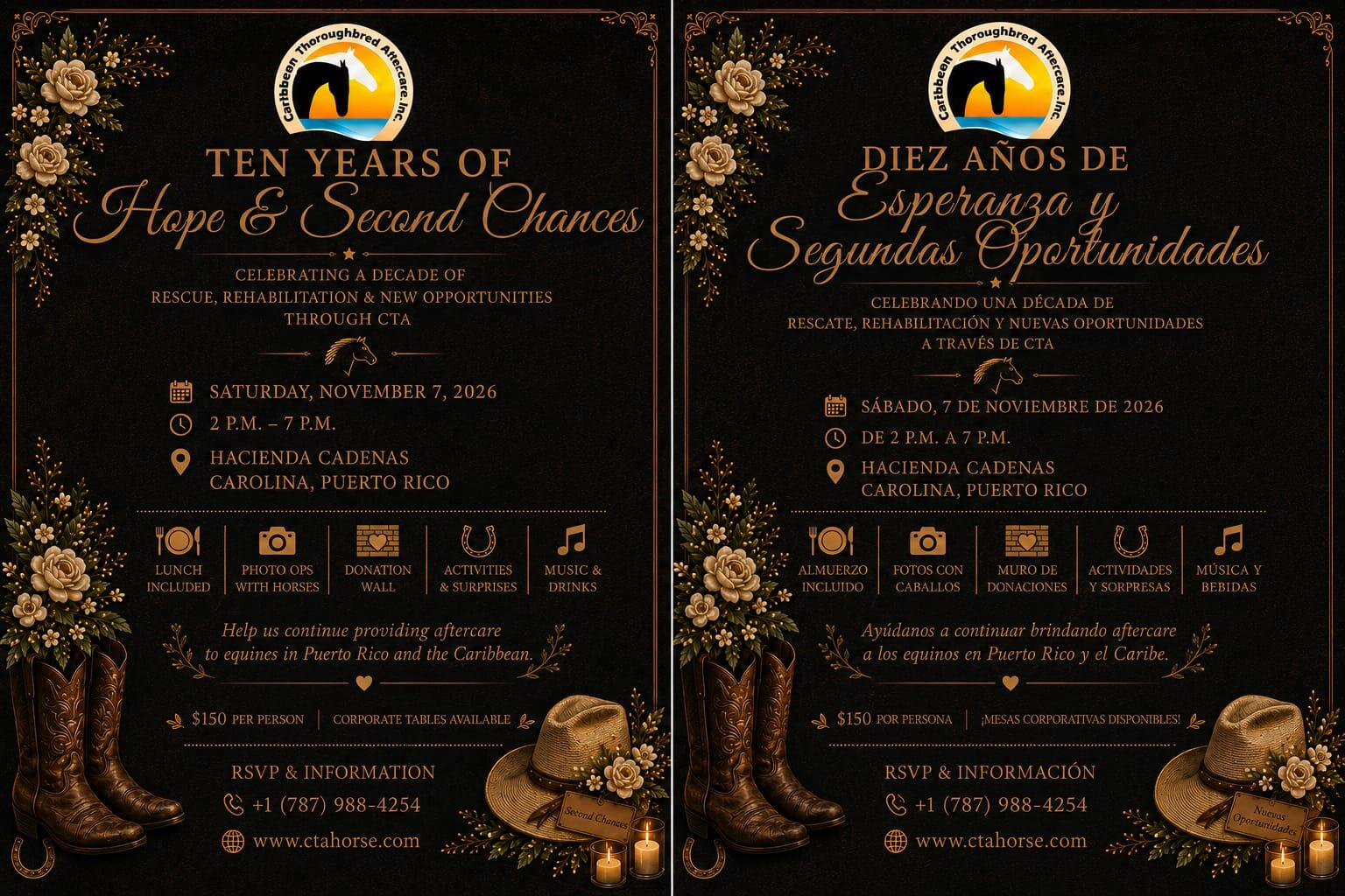 Campaign cover image for 10 yr Anniversary Fundraising Event