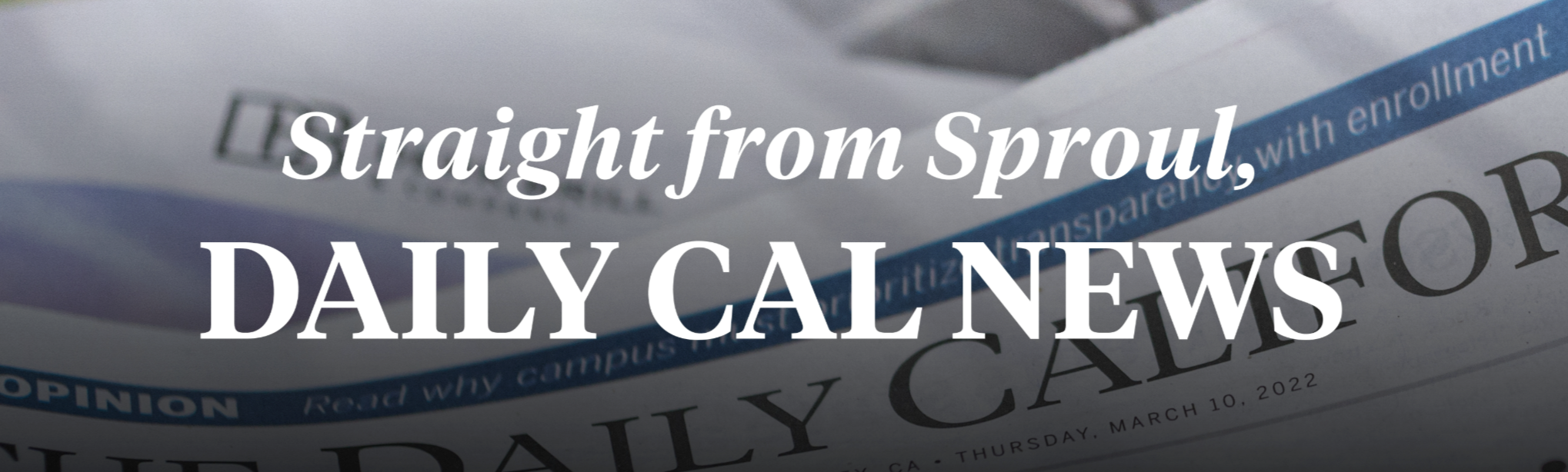 Campaign cover image for The Daily Californian: Print Subscription