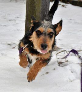 Campaign cover for Second Chances Fund