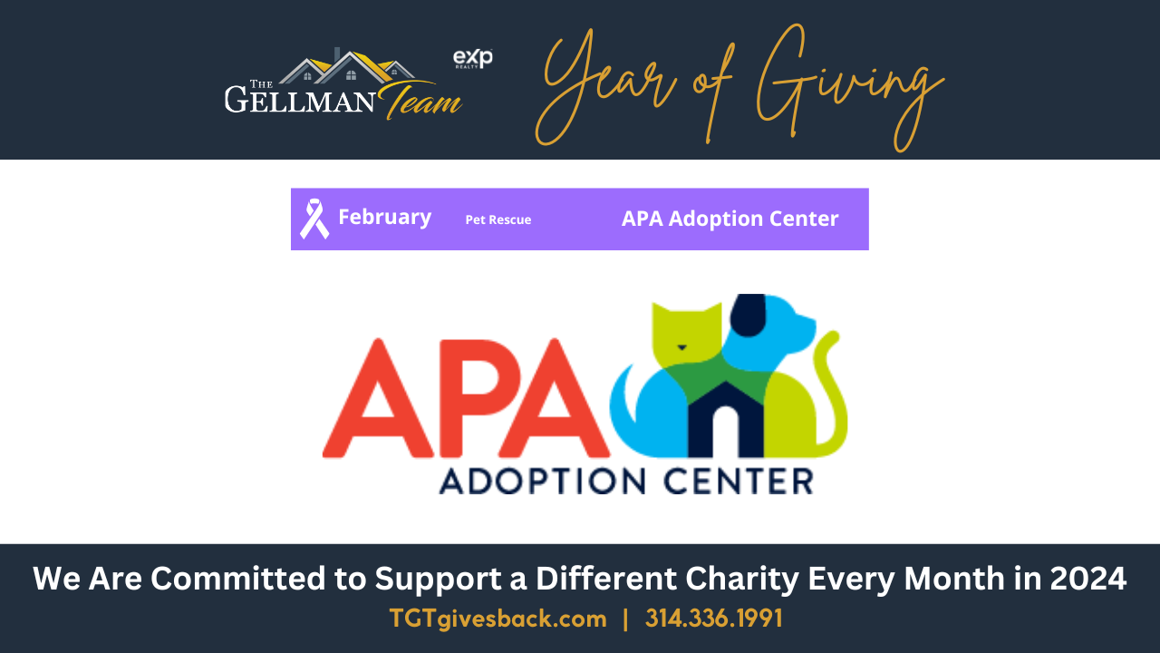 Campaign cover image for Year of Giving: APA Adoption Center
