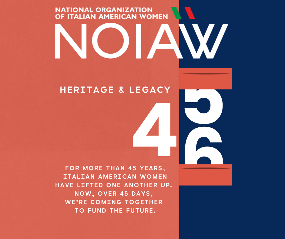 Campaign cover image for 45 x 45: NOIAW 45th Anniversary Fundraising Campaign