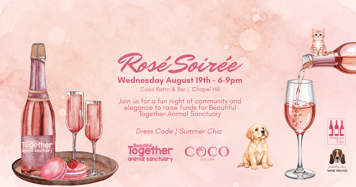 Campaign cover image for Rosé Soirée 2026