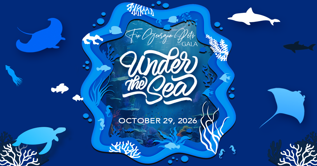 Campaign cover image for Under the Sea Gala