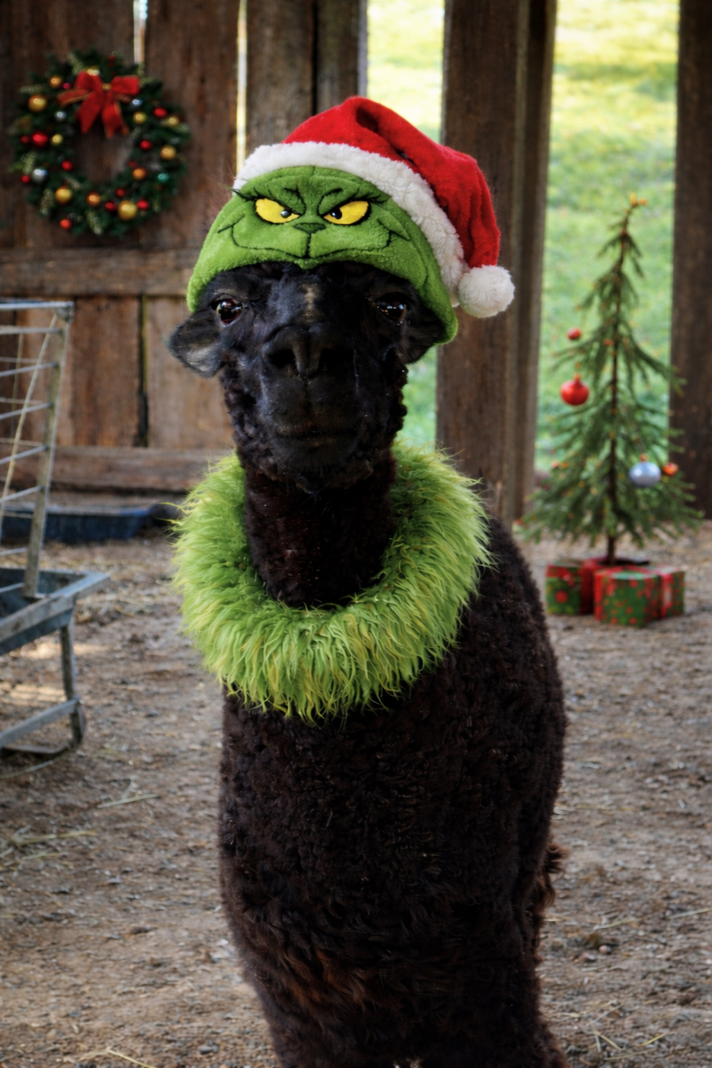 Campaign cover image for Secret Santa