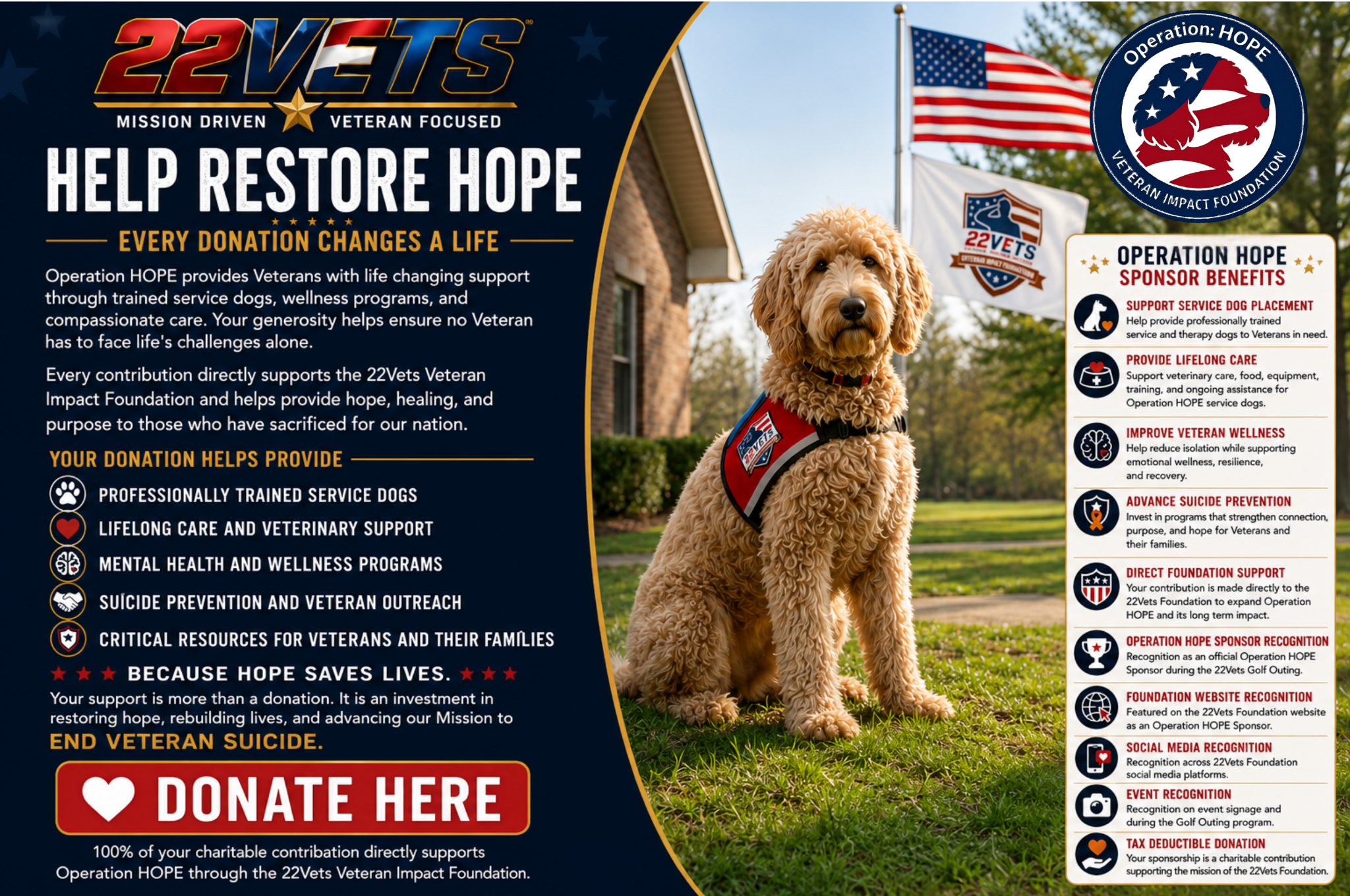 Campaign cover for Operation Hope
