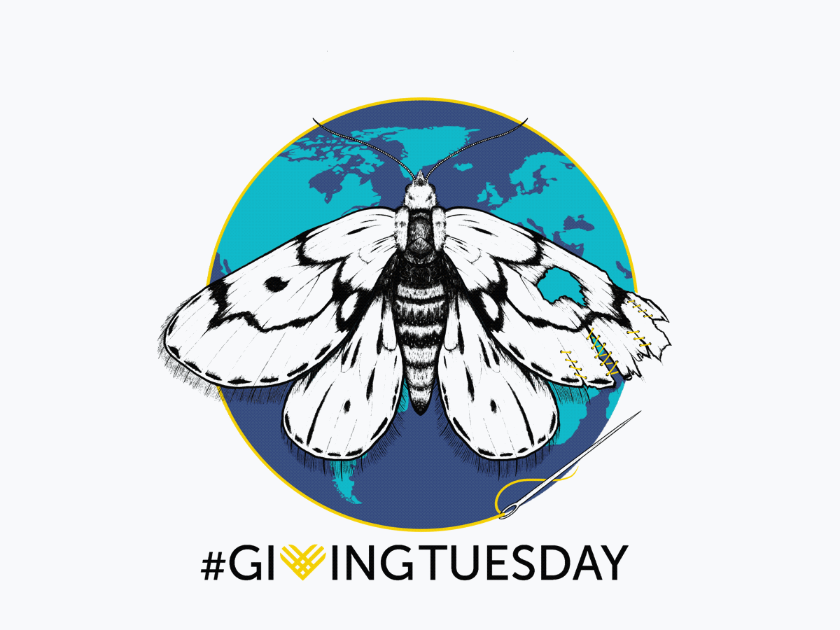 Campaign cover image for Restore creation to its Creator