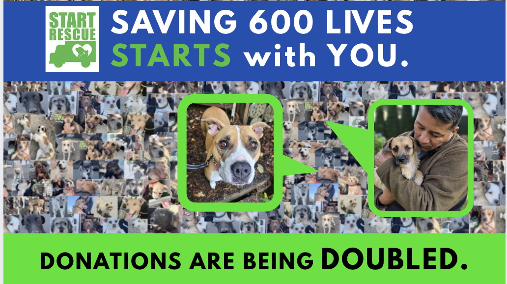 Campaign cover image for DONATE NOW - Giving Tuesday 2025