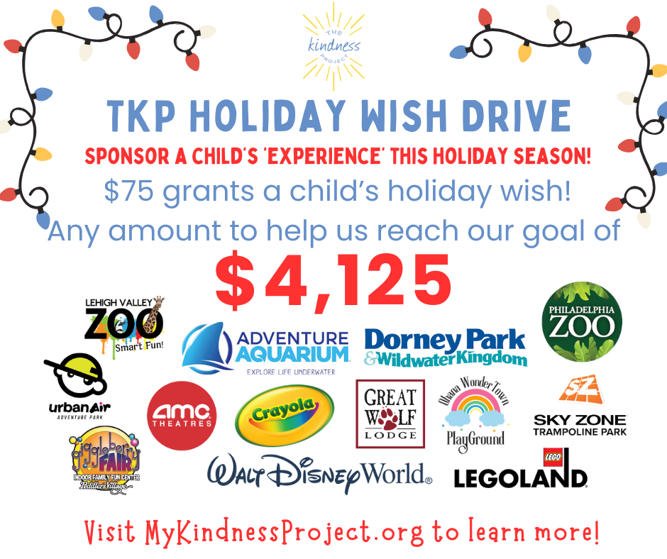 Campaign cover image for 2025 Holiday Experience Fundraiser