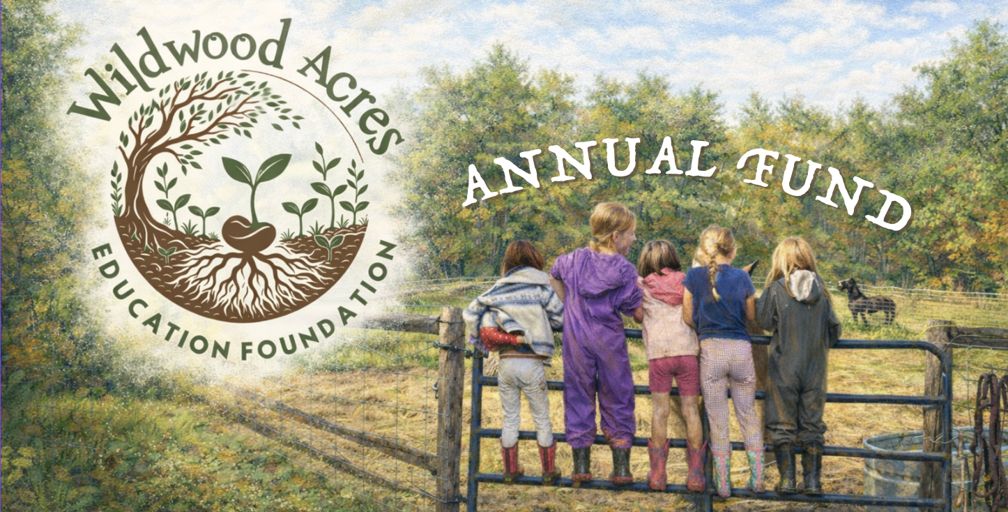 Campaign cover image for The Wildwood Acres Education Foundation Annual Fund