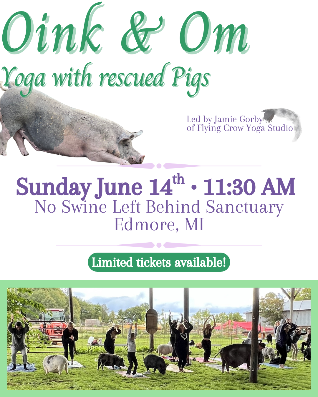 Campaign cover image for Oink & Om