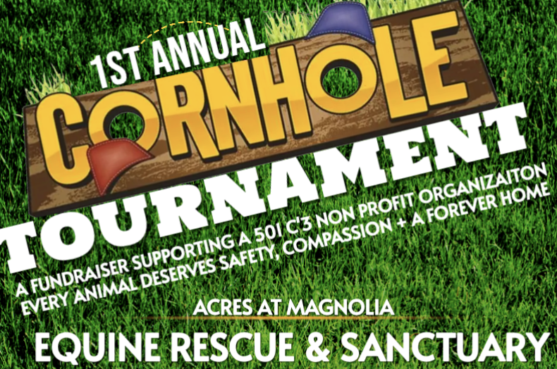 Campaign cover image for Oktoberfest Cornhole Tournament