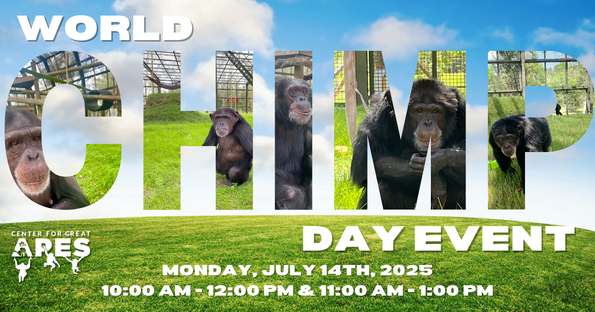 Campaign cover image for Chimpanzee Day Event 2025