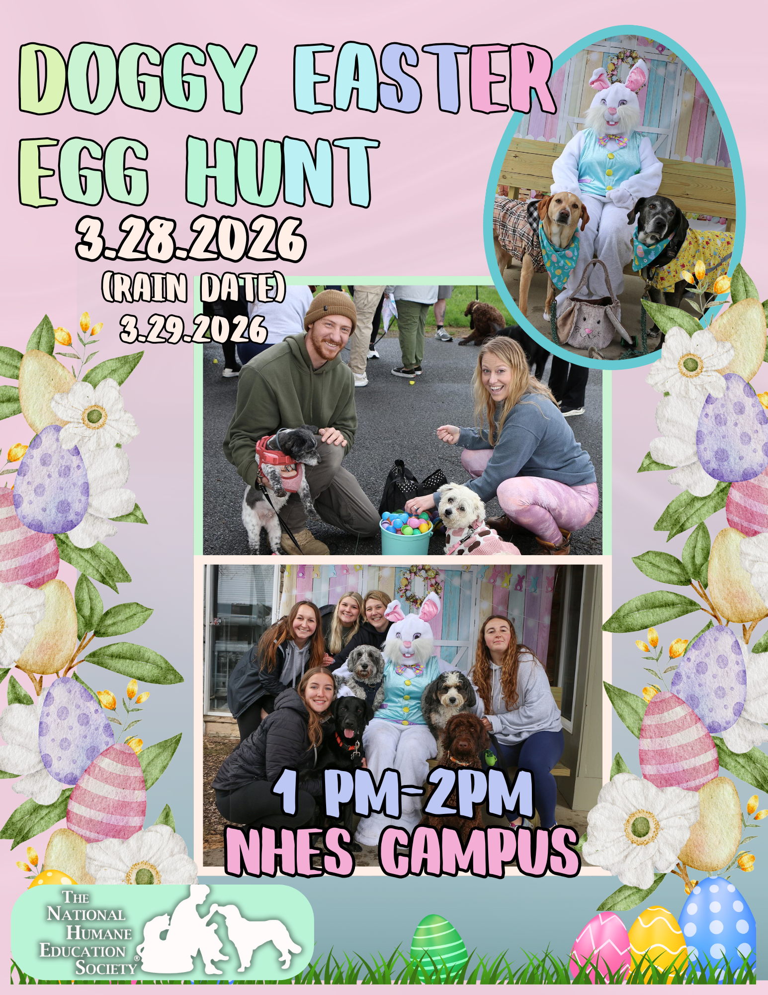 Campaign cover image for 5th Annual Doggy Easter Egg Hunt