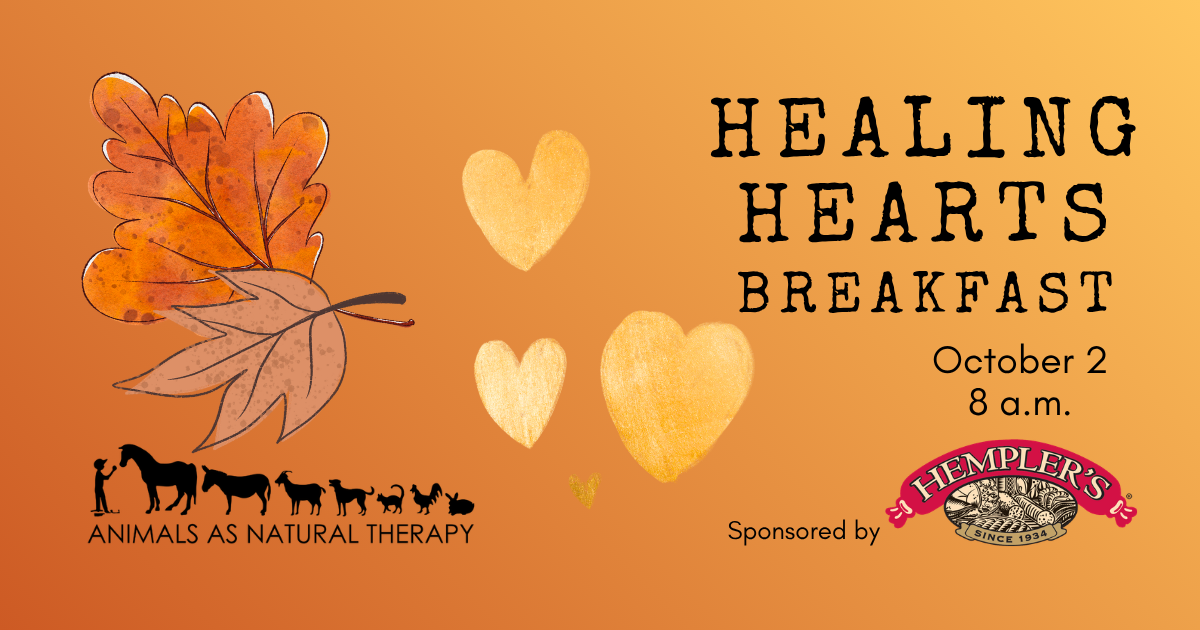Campaign cover image for Healing Hearts 2026