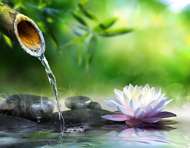 Campaign cover image for Caregiver Wellness - Preventing Burnout