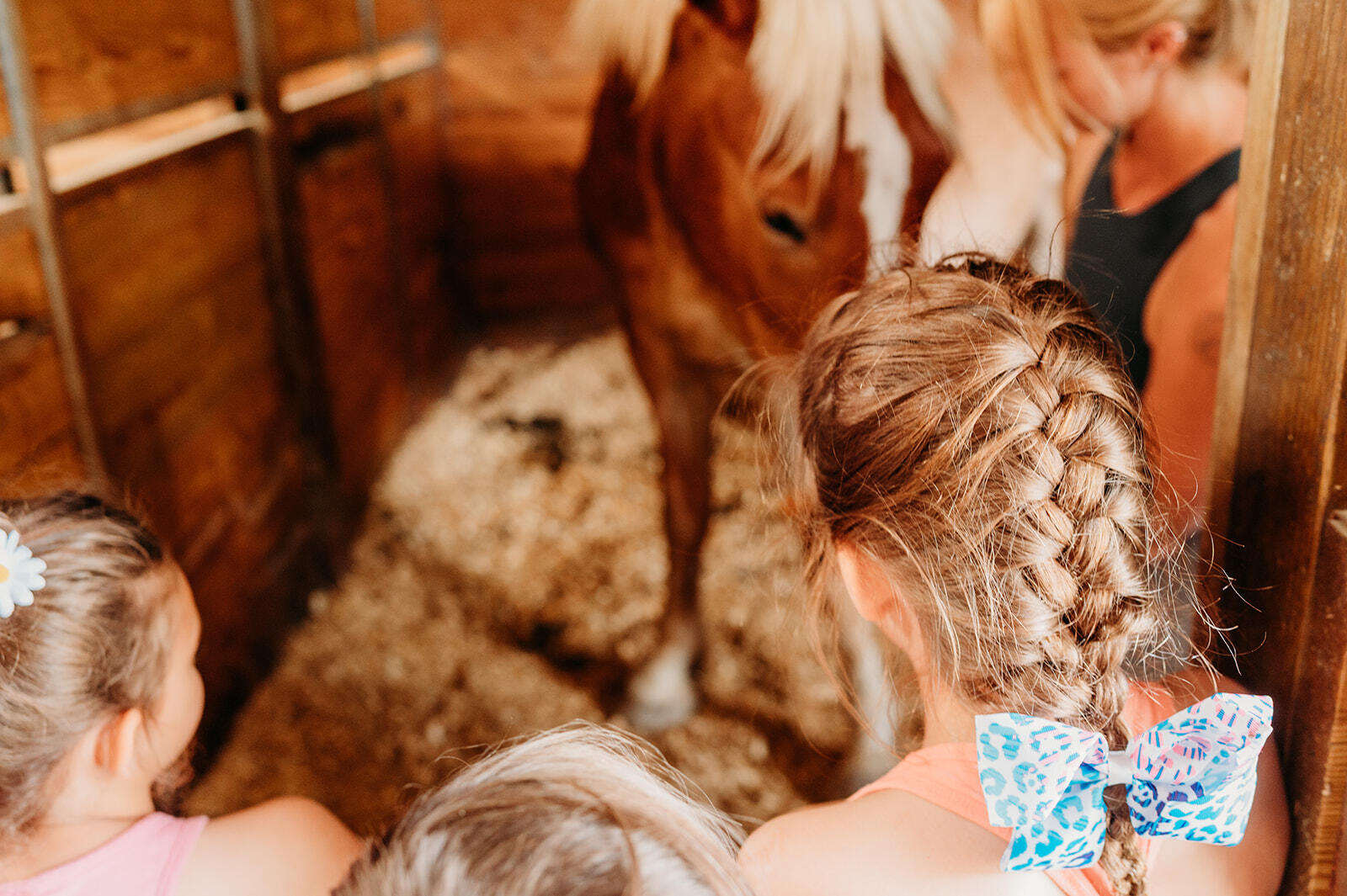 Campaign cover image for Soulstride Junior Horse Club