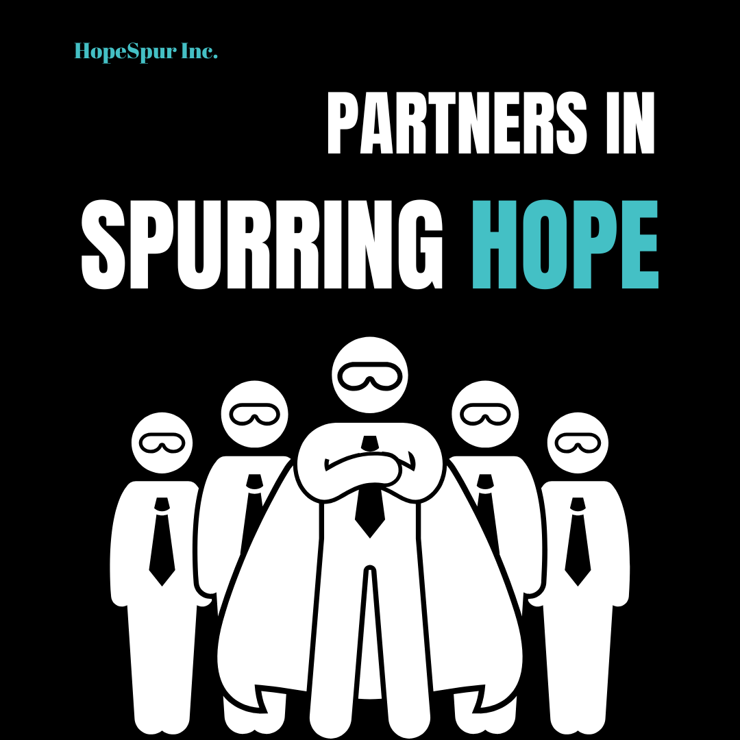 Campaign cover image for Partners in Spurring Hope