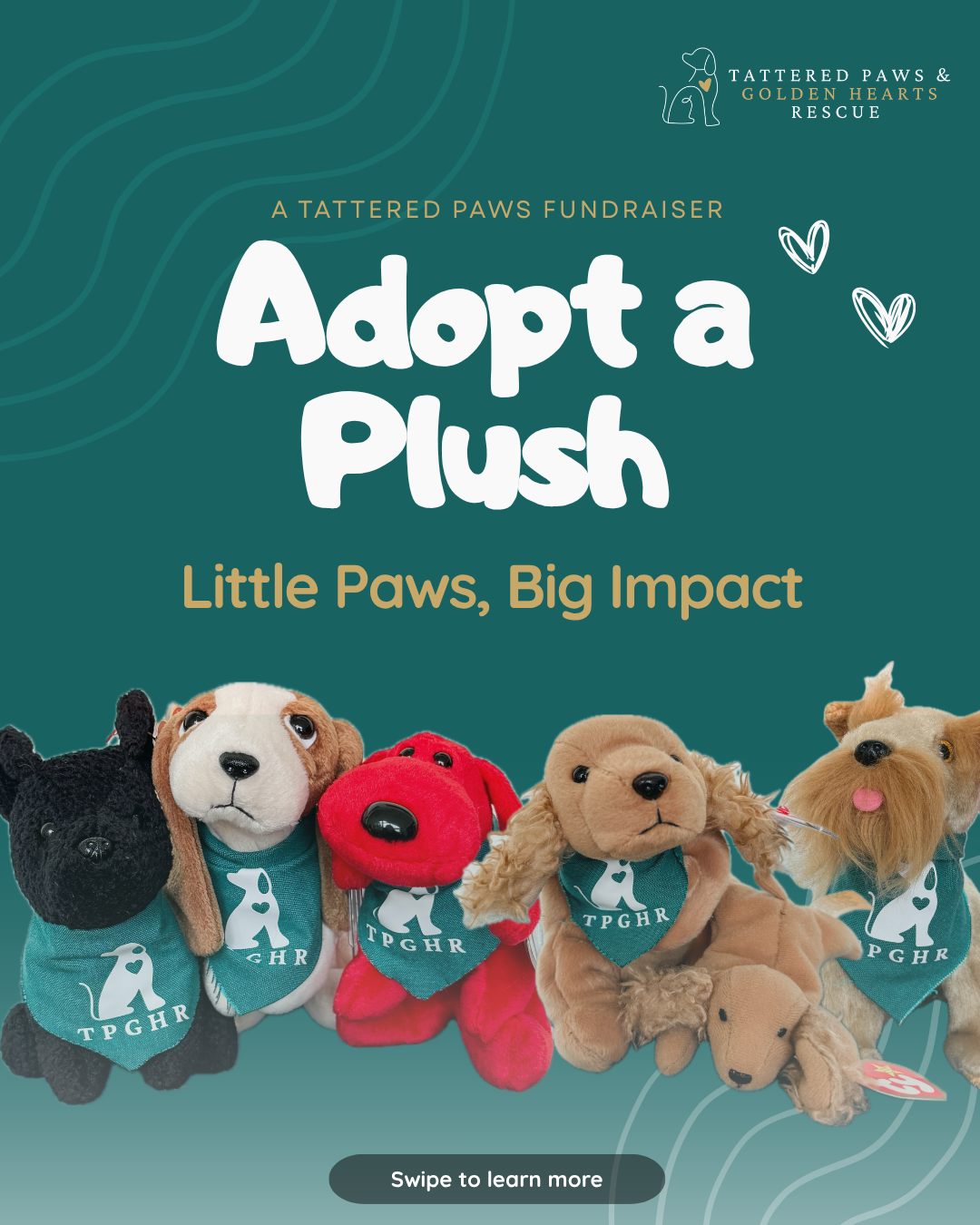 Campaign cover image for 🐾 Adopt a Plush🐾
