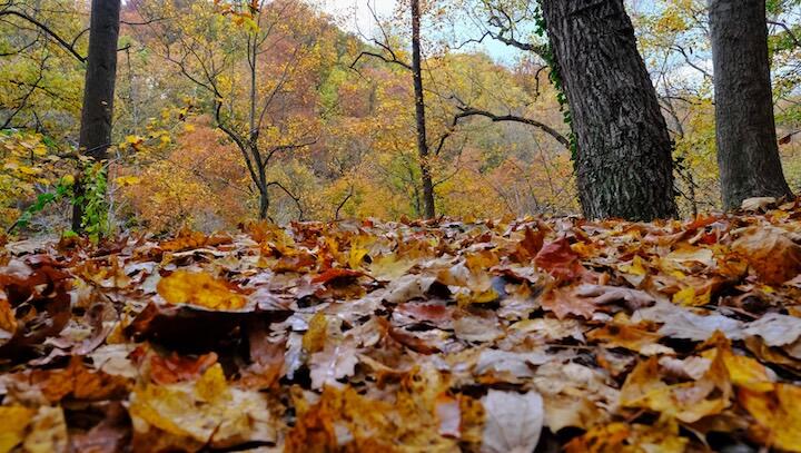 Campaign cover image for Fall Hikes 2025