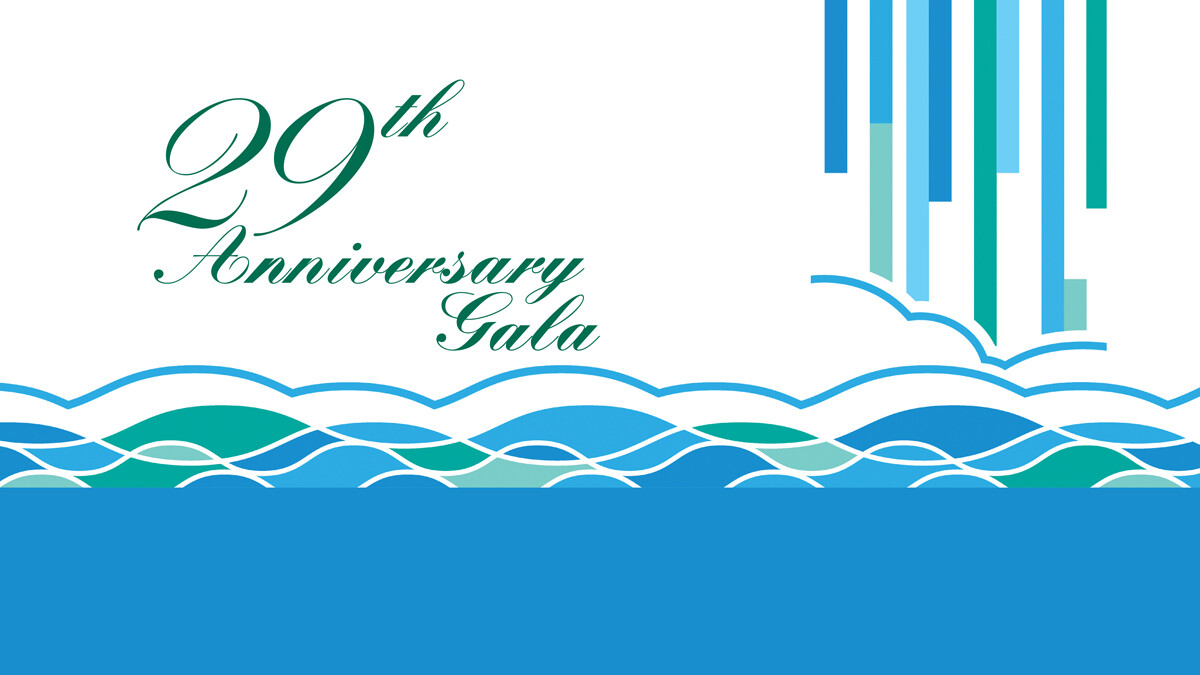 Campaign cover image for 29th Anniversary Gala