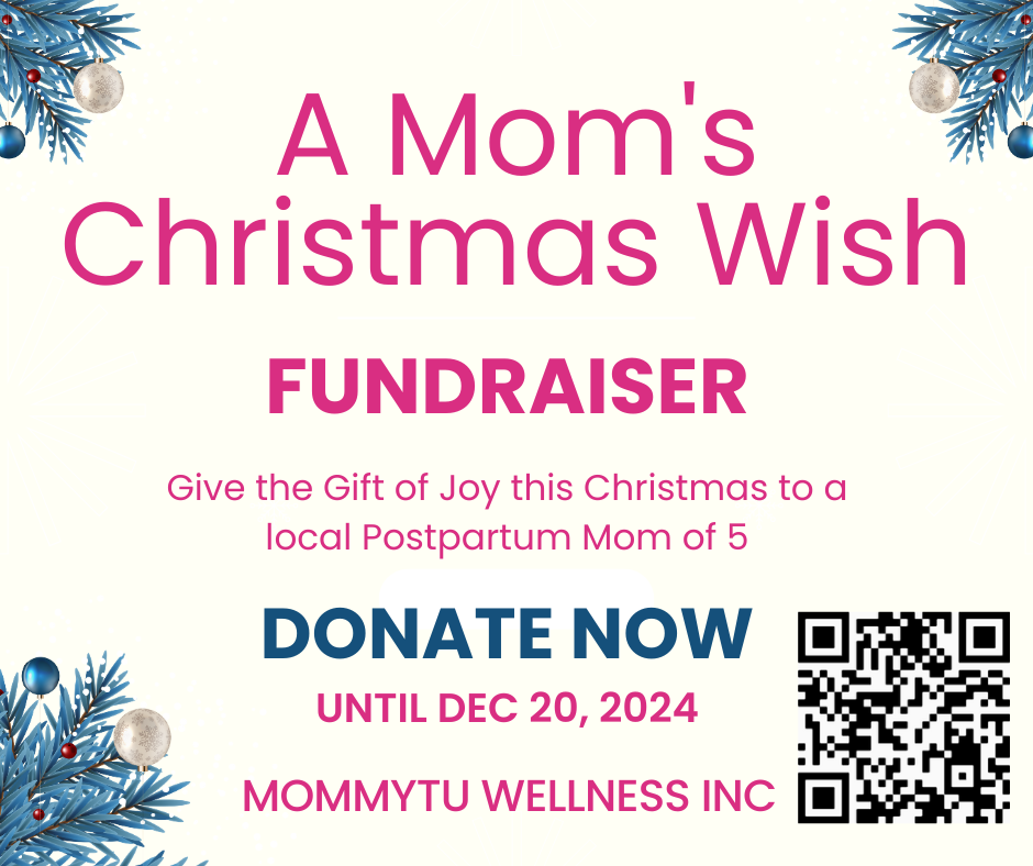 Campaign cover image for A Mom's Christmas Wish