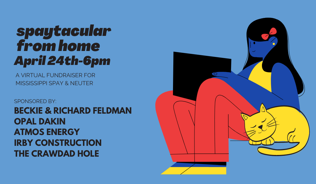 Campaign cover image for Spaytacular from Home 2021