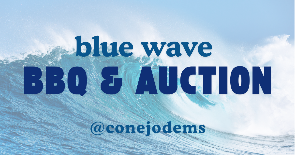 Campaign cover image for Conejo Dems Fired Up! Blue Wave BBQ and Auction