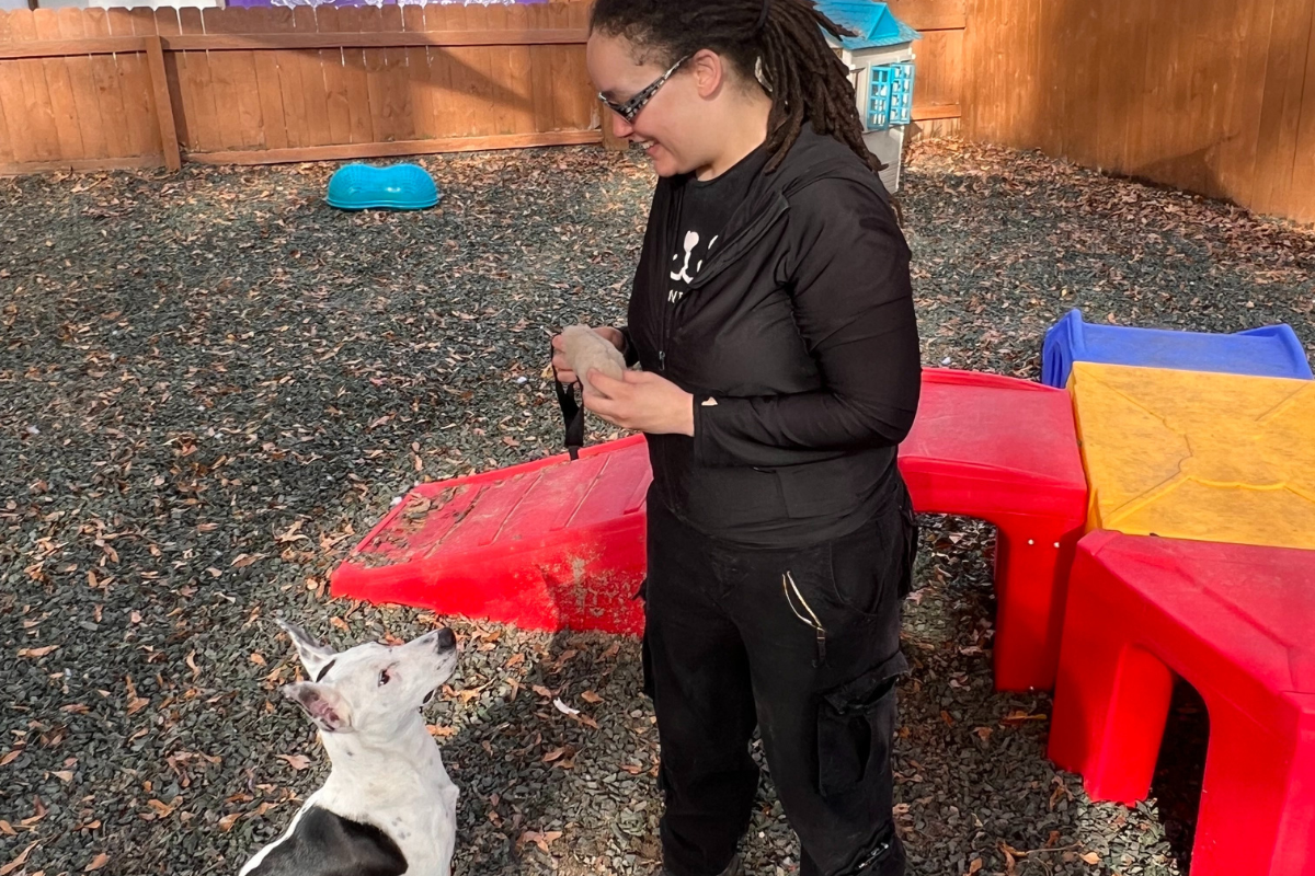 Campaign cover image for Understanding Your Dog: A VIRTUAL Q&A