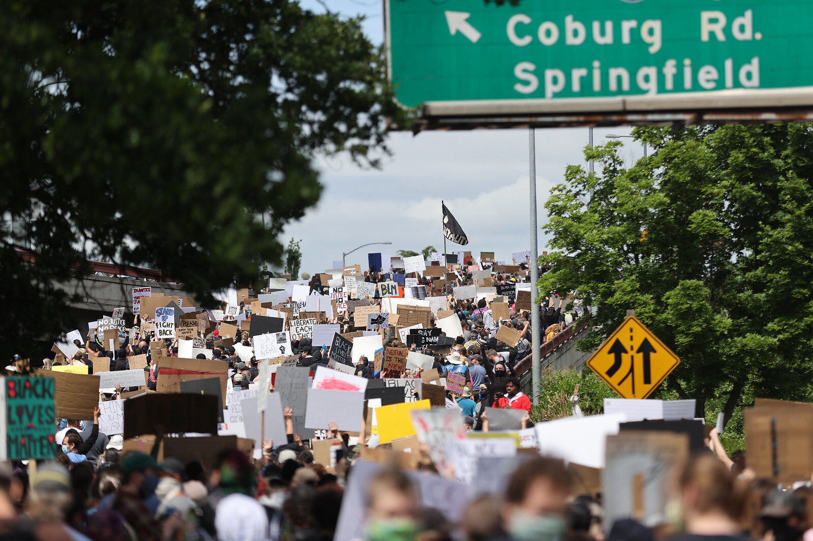 Campaign cover image for CLDC's 2024 End of Year Fundraising Appeal