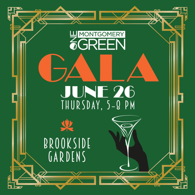 Campaign cover image for OMG Gala 2025