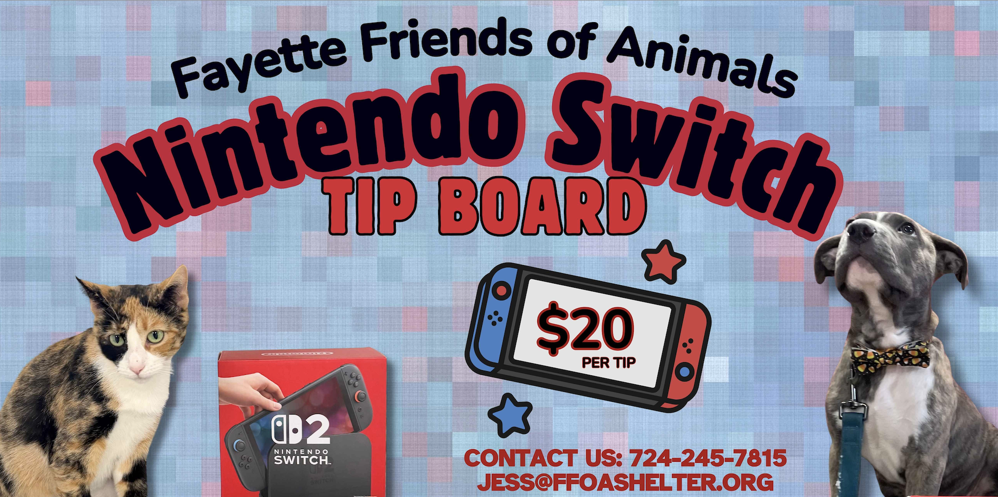 Campaign cover image for 🎉 Support FFOA & Win a Nintendo Switch! 🎮