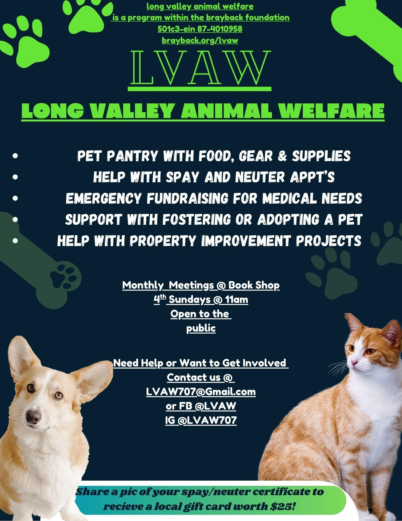 Campaign cover image for Spay/Neuter, Vaccines, Medical Emergency Funds