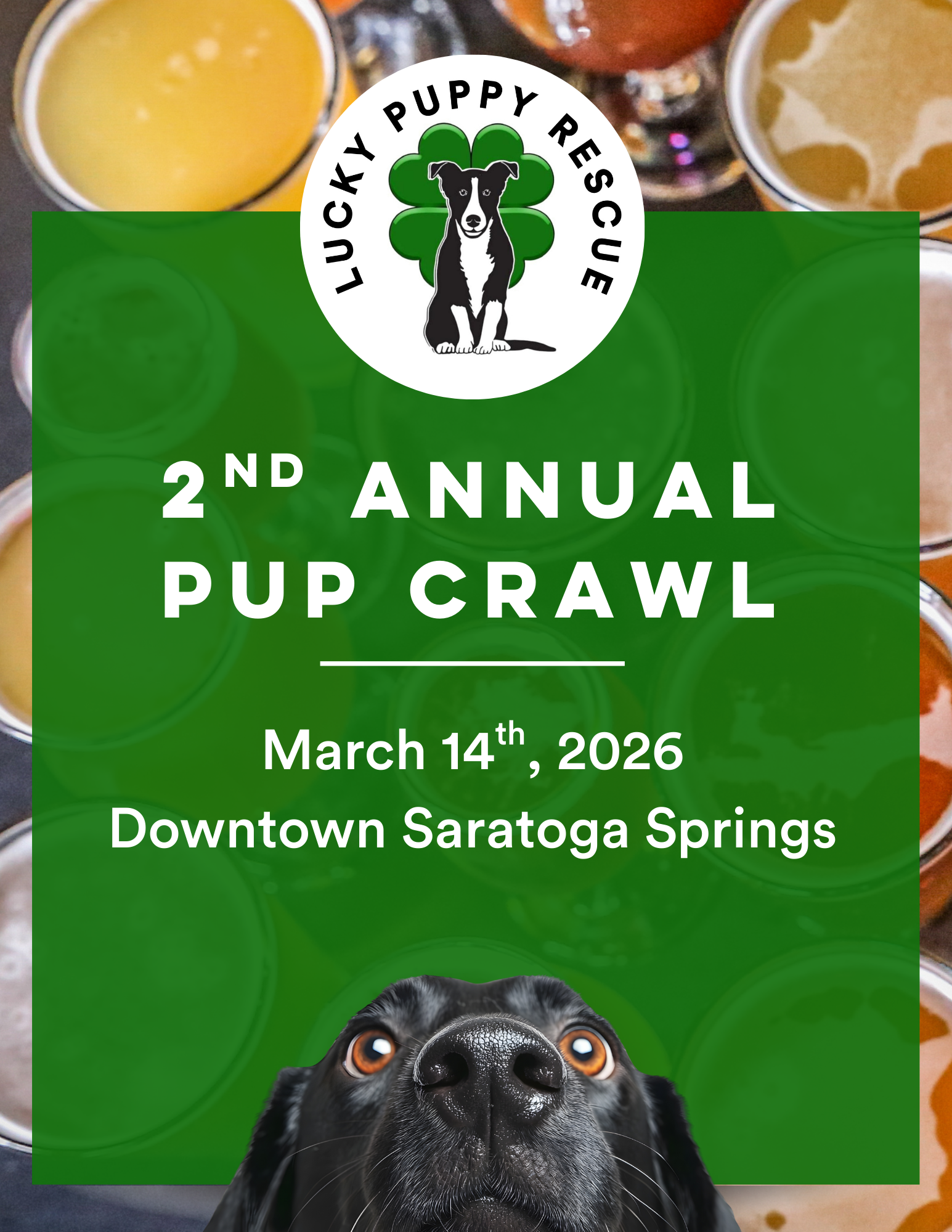 Campaign cover image for Pup Crawl 2026